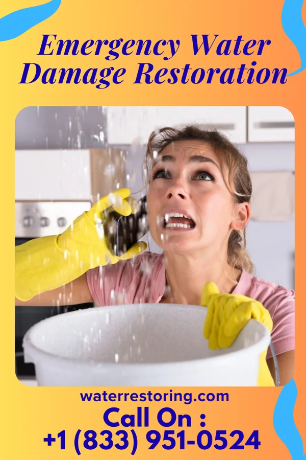 Emergency Water Damage Restoration in Algonquin, IL