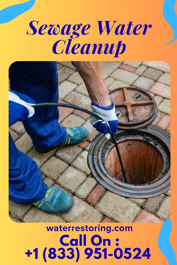 Sewage Water Cleanup in Algonquin, IL